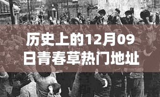探尋青春草熱門地址背后的文化現(xiàn)象與青春記憶，歷史視角下的12月09日回顧
