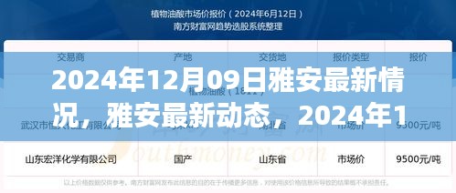 雅安最新動(dòng)態(tài)深度觀察，2024年12月09日最新情況報(bào)告