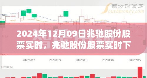 兆馳股份股票實時下的心靈探索之旅，尋找寧靜與平和