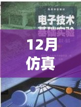 仿真之路，實時啟航，迎接自信與成就感的魔法時刻——十二月仿真需求解析