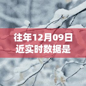 往年12月9日數(shù)據(jù)的魔法，溫馨回憶中的實時時光
