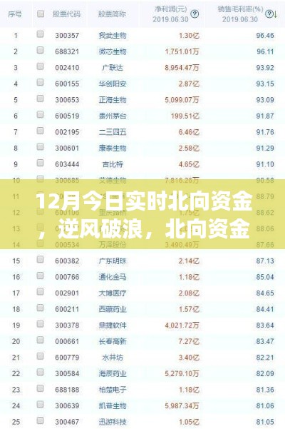 北向資金啟示下的成長奇跡，12月實時洞察，自信成就夢想之旅