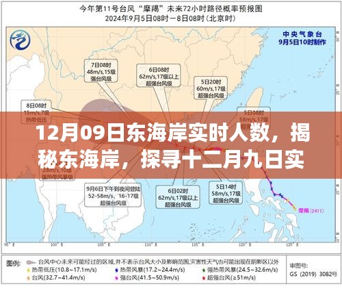 揭秘東海岸，十二月九日實時人數(shù)背后的故事