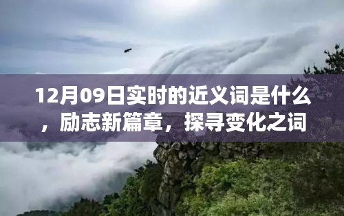 12月09日實(shí)時(shí)近義詞探索與勵(lì)志新篇章，探尋詞匯魔力，學(xué)習(xí)鑄就自信成就之橋