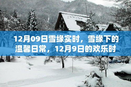 雪緣下的溫馨日常，12月9日的歡樂時光
