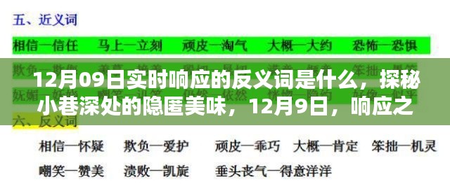 探秘實(shí)時(shí)響應(yīng)反義詞與小巷深處的隱匿美味，12月9日的探索之旅