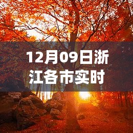 森久 第4頁