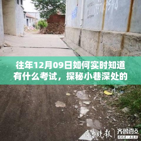 探秘小巷深處的考試情報站，揭秘往年考試資訊一網(wǎng)打盡秘籍！