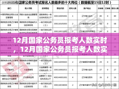 12月國(guó)家公務(wù)員報(bào)考人數(shù)實(shí)時(shí)分析與趨勢(shì)探討，數(shù)據(jù)、策略一覽