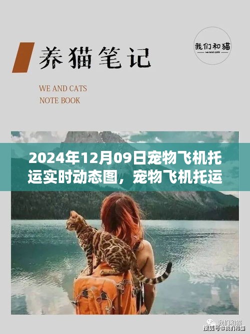 寵物飛機托運全程指南，實時動態(tài)圖解（XXXX年）