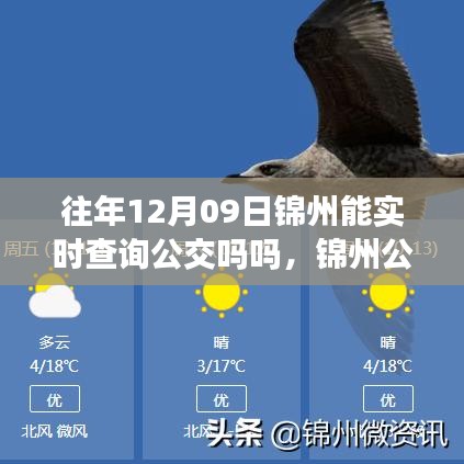 錦州公交實(shí)時(shí)查詢(xún)系統(tǒng)升級(jí)，智能出行新體驗(yàn)，科技生活觸手可及