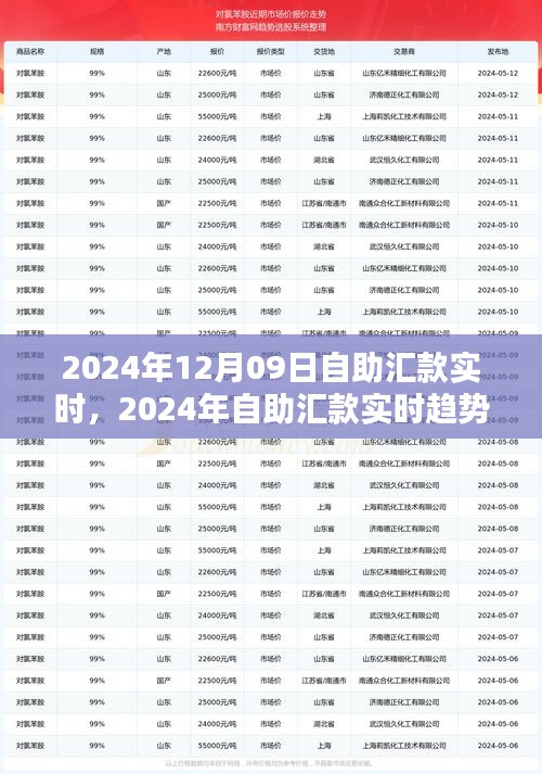 自助匯款實時趨勢下的金融革新，機遇與挑戰(zhàn)并存（2024年12月09日）