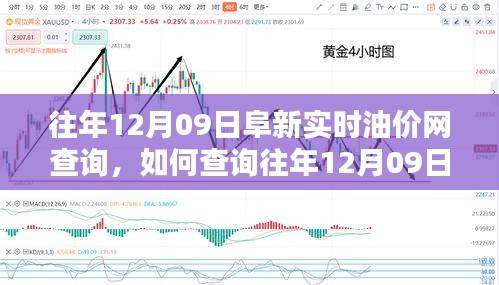 往年12月09日阜新實時油價網(wǎng)查詢攻略，初學(xué)者與進(jìn)階用戶指南