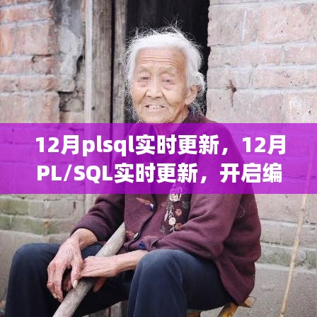 12月PL/SQL實時更新，開啟編程之旅，邁向自信與成就的新紀元