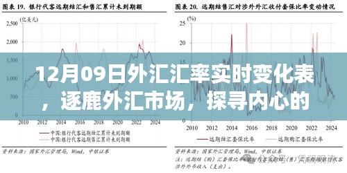 揭秘外匯市場風云變幻，探尋匯率背后的故事——12月09日外匯匯率實時變化表解析