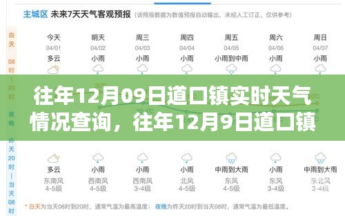 往年12月9日道口鎮(zhèn)實(shí)時(shí)天氣情況深度查詢(xún)與評(píng)測(cè)報(bào)告