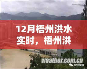 梧州洪水實時監(jiān)測，系統(tǒng)深度評測、特性、體驗、競品對比及用戶分析