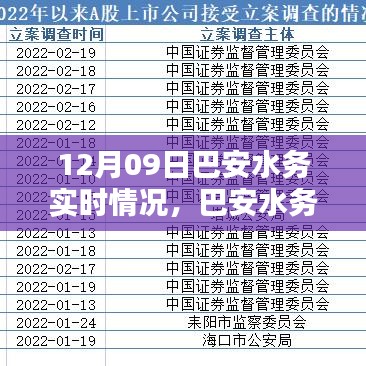 巴安水務實時情況詳解與操作指南，初學者與進階用戶適用的任務指南（12月09日）