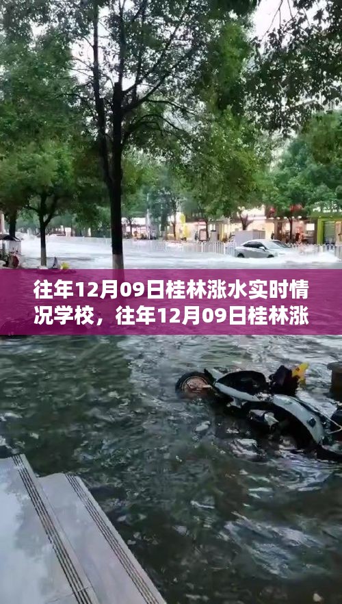 往年12月09日桂林漲水實時情況及學(xué)校應(yīng)對指南，保障學(xué)生安全無憂