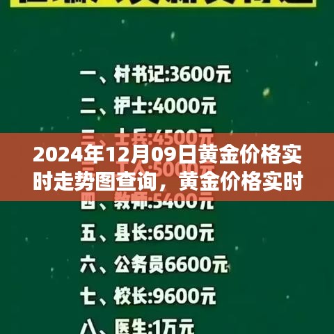 黃金市場(chǎng)脈動(dòng)解讀，2024年黃金價(jià)格實(shí)時(shí)走勢(shì)圖查詢(xún)