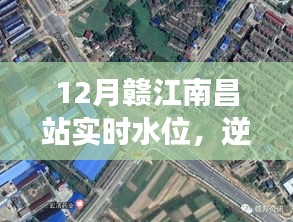 贛江南昌站水位實時觀察，逆流而上的成長之旅，展現變化、學習與自信的力量
