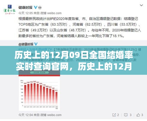 歷史上的12月09日全國結婚率實時查詢官網，探尋數據背后的故事