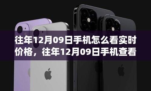 往年12月09日手機查看實時價格指南，功能解析、用戶體驗、競品對比與受眾分析