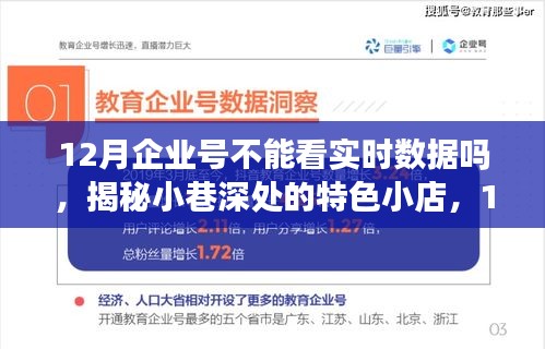 揭秘12月企業(yè)號(hào)實(shí)時(shí)數(shù)據(jù)，小巷特色小店的奇幻數(shù)據(jù)之旅