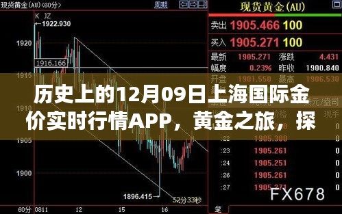 上海國(guó)際金價(jià)實(shí)時(shí)行情APP的黃金之旅，歷史探索與自然美景的融合體驗(yàn)。