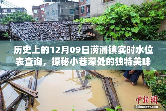 探秘澇洲鎮(zhèn)，歷史水位變遷中的小巷美食記憶——實(shí)時(shí)水位表查詢與獨(dú)特美味探秘