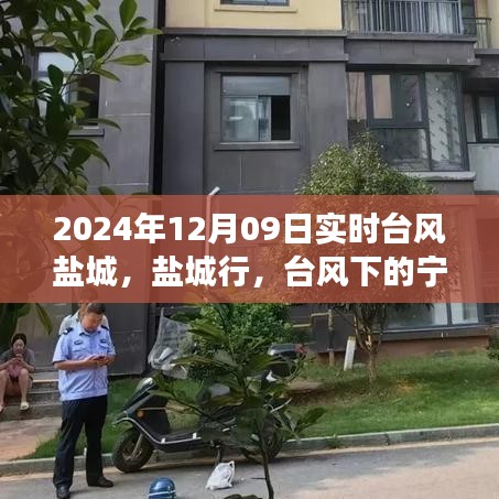 臺(tái)風(fēng)下的鹽城探尋之旅，自然之美與內(nèi)心寧?kù)o的交融之路（實(shí)時(shí)更新）