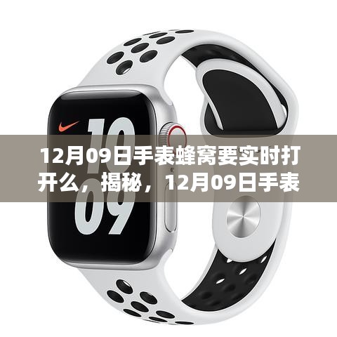 揭秘，12月09日手表蜂窩實(shí)時(shí)開啟的重要性及操作指南