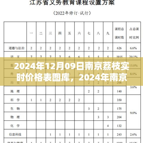 2024年南京荔枝實(shí)時價格表圖庫制作指南，從初學(xué)者到進(jìn)階用戶全攻略