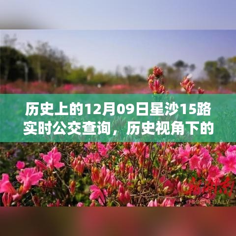 歷史視角下的星沙公交發(fā)展，星沙公交查詢系統(tǒng)深度探討與實(shí)時(shí)公交查詢服務(wù)解析（附，歷史上的星沙公交變遷）
