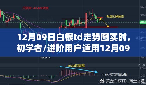 12月09日白銀TD走勢圖實時分析指南，適合初學(xué)者與進階用戶