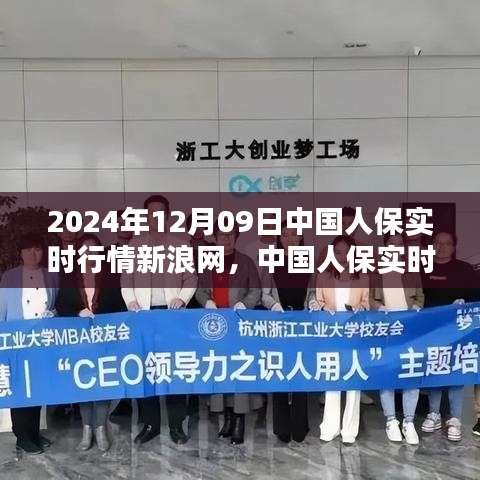 中國(guó)人保新浪網(wǎng)實(shí)時(shí)行情評(píng)測(cè)報(bào)告，產(chǎn)品特性與用戶體驗(yàn)深度解析