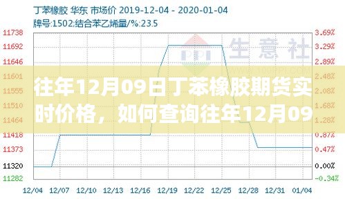 如何查詢往年12月09日丁苯橡膠期貨實(shí)時價格，詳細(xì)步驟及最新價格信息指南
