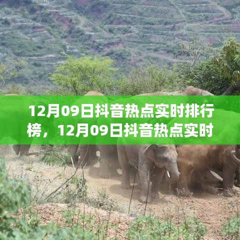 12月09日抖音熱點(diǎn)實(shí)時排行榜深度解析，產(chǎn)品特性與體驗(yàn)全面探討