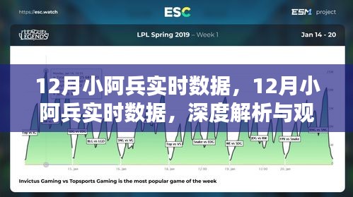 深度解析與觀點闡述，12月小阿兵實時數據綜述