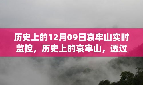 哀牢山歷史監(jiān)控實錄，透過實時影像一窺昔日風采
