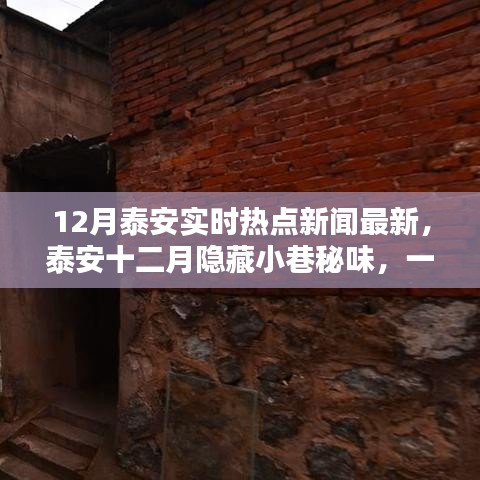 泰安十二月熱點新聞與隱藏小巷的特色美食探索，一家特色小店的驚喜之旅