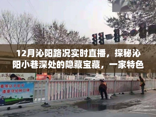 探秘沁陽小巷寶藏，實時路況直播啟程，帶你領(lǐng)略獨(dú)特風(fēng)情