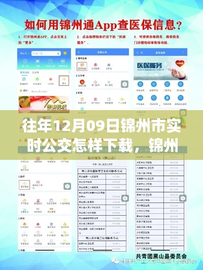 錦州市實(shí)時(shí)公交查詢APP下載指南，以往年12月09日為例的教程分享