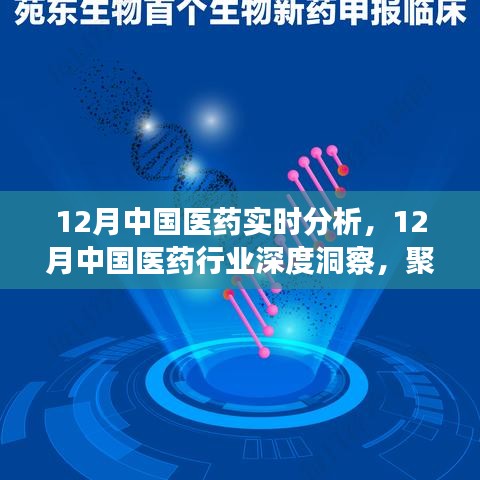 聚焦實時分析，探尋中國醫(yī)藥行業(yè)深度洞察與發(fā)展之路