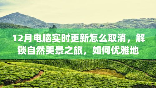 12月電腦更新取消指南與解鎖自然美景之旅，優(yōu)雅避開更新，尋找心靈寧?kù)o綠洲