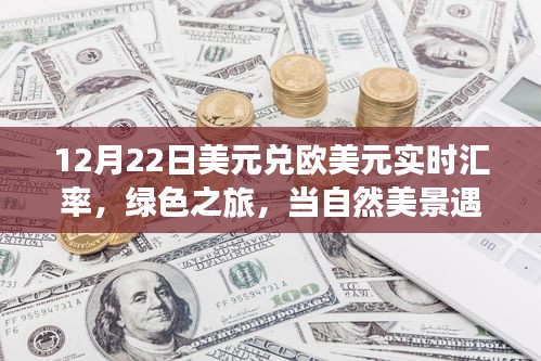 美元與歐元邂逅綠色之旅，匯率波動下的自然美景實時匯率觀察
