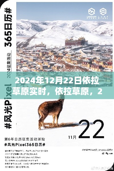 依拉草原時(shí)光印記，2024年12月22日實(shí)時(shí)記錄