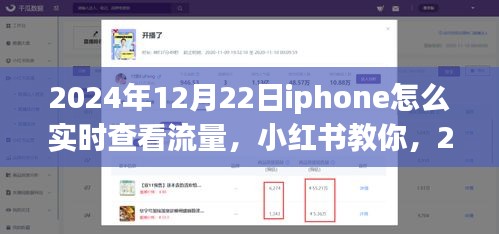 2024年12月22日iPhone實時查看流量教程，小紅書教你如何輕松監(jiān)控流量消耗