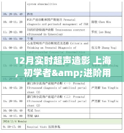 12月上海實時超聲造影操作全攻略，從初學者到進階用戶的必備指南