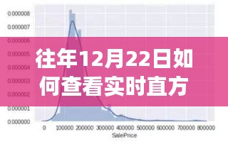 冬至日探索自然美景，實(shí)時(shí)直方圖下的心靈之旅與魔力探索